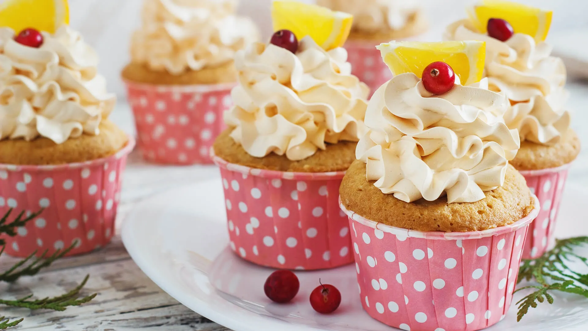 Hoşgeldiniz <br> Web Siteniz